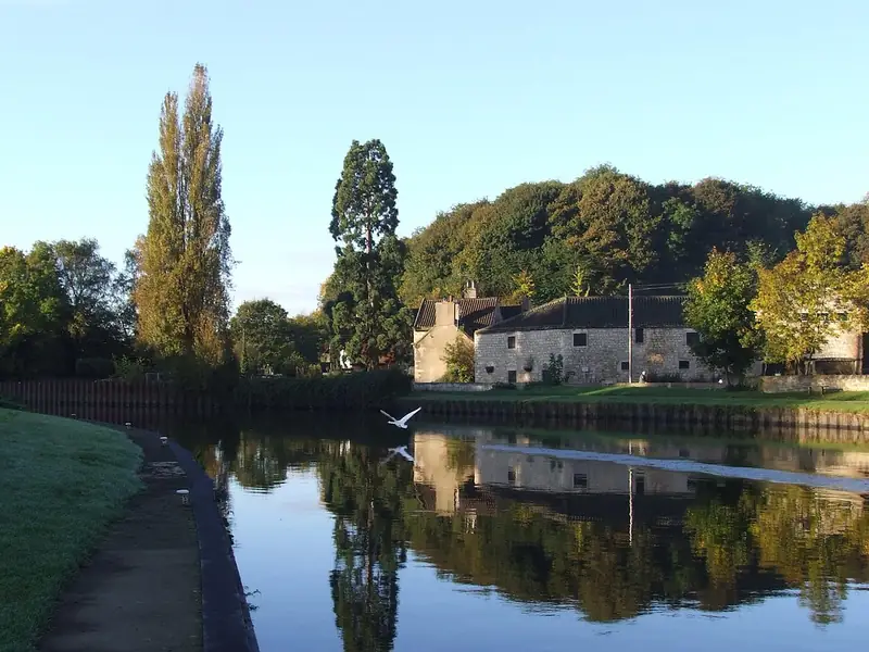 Trees reflected in still water at Sprotbrough, Doncaster