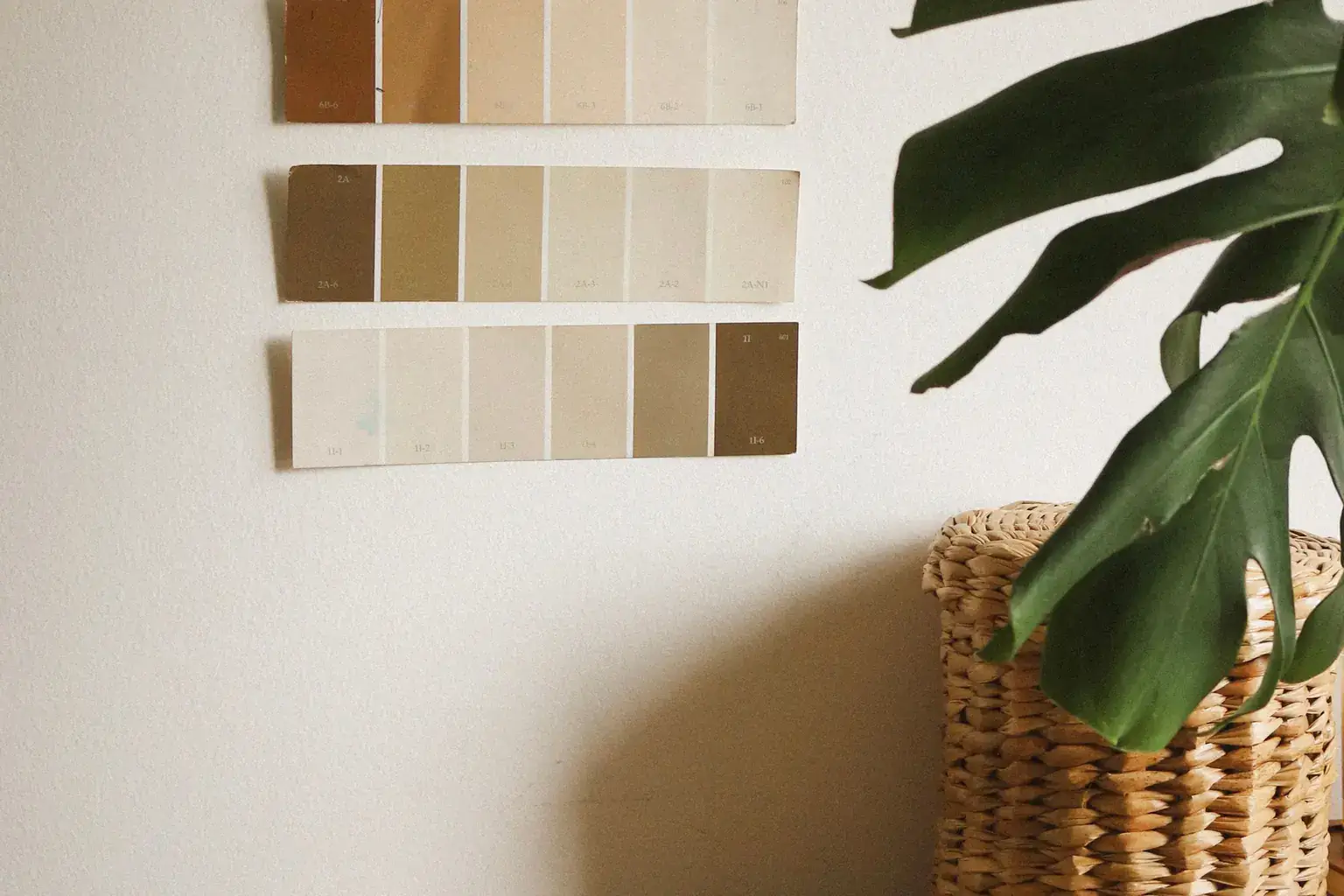 Rows of neutral paint colour swatches taped to a wall beside a leafy houseplant